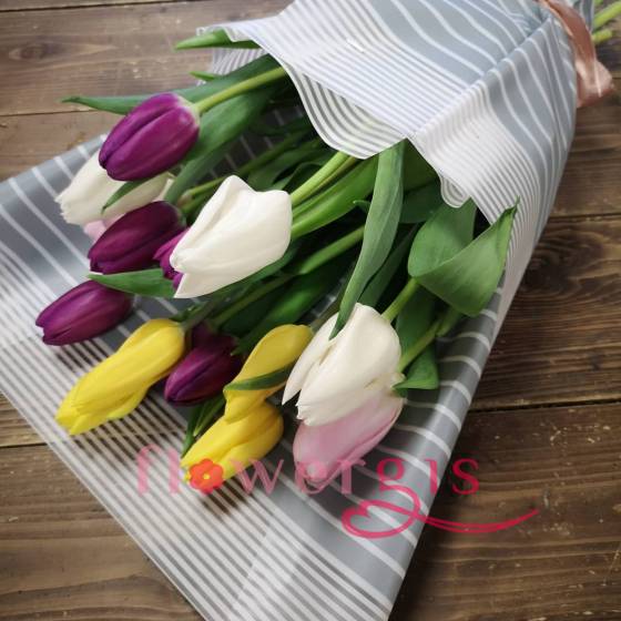 Тюльпанчик