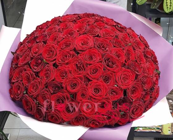 Роза гран при 